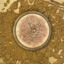 IMG_0997.jpeg