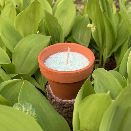 Bougie "Muguet" ~70gr
